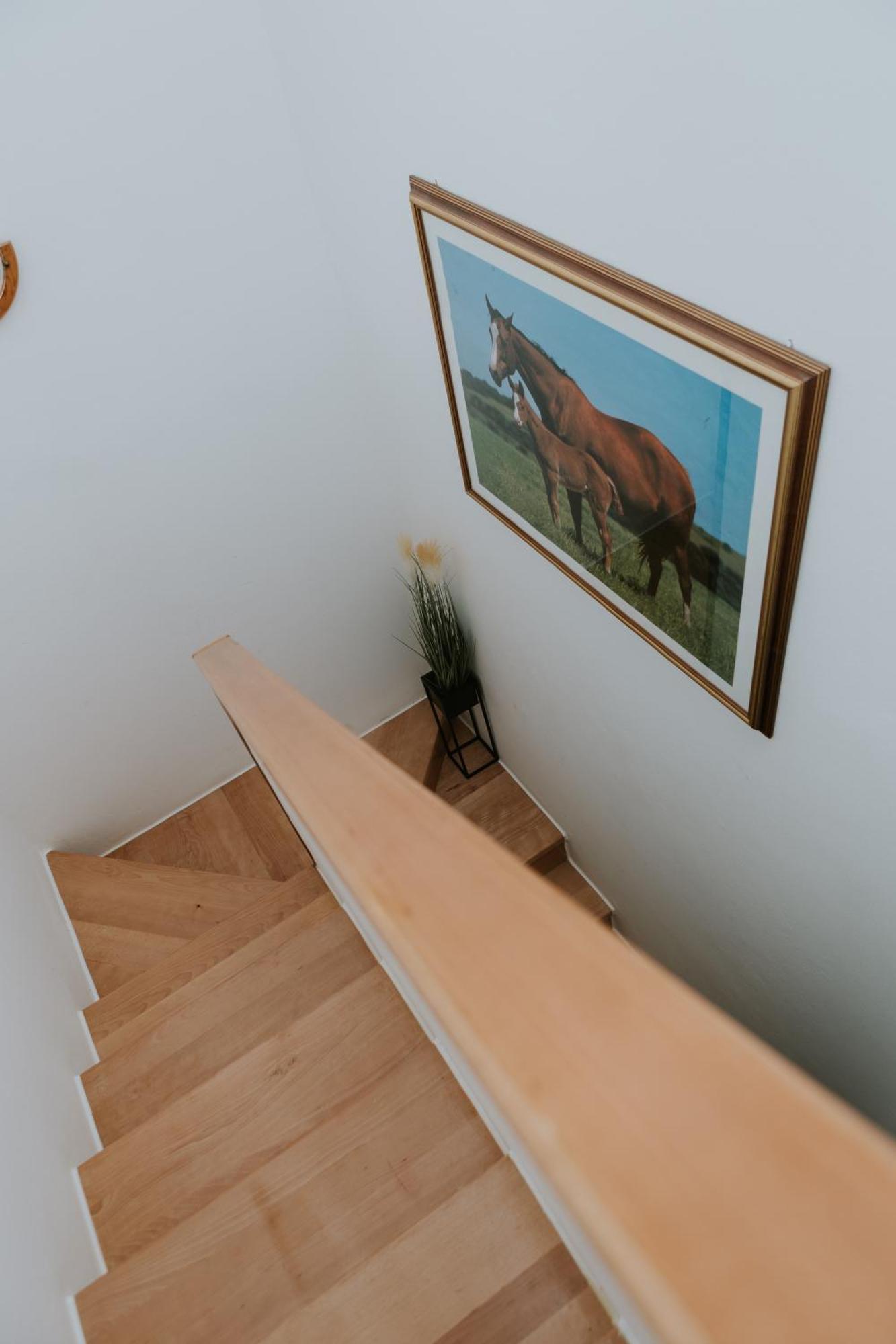 Apartman Antonio Gospić エクステリア 写真
